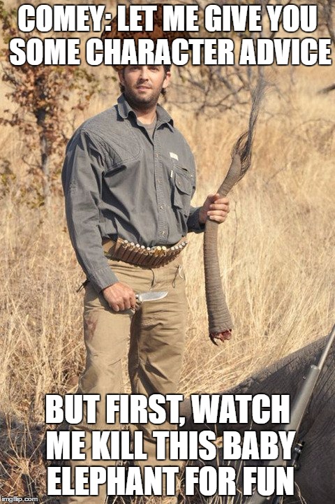 Rich Boy | COMEY: LET ME GIVE YOU SOME CHARACTER ADVICE; BUT FIRST, WATCH ME KILL THIS BABY ELEPHANT FOR FUN | image tagged in trump junior,rich kid | made w/ Imgflip meme maker
