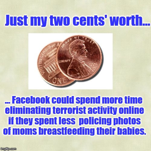 Not a Sermon | Just my two cents' worth... ... Facebook could spend more time eliminating terrorist activity online if they spent less  policing photos of moms breastfeeding their babies. | image tagged in facebook,censorship,breastfeeding,priorities | made w/ Imgflip meme maker