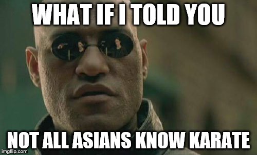 Matrix Morpheus Meme | WHAT IF I TOLD YOU; NOT ALL ASIANS KNOW KARATE | image tagged in memes,matrix morpheus | made w/ Imgflip meme maker