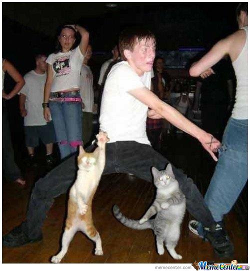 Cat Dance Blank Meme Template