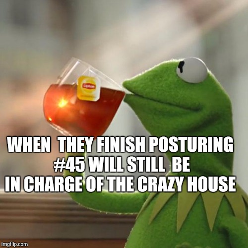 But That's None Of My Business Meme | WHEN  THEY FINISH POSTURING #45 WILL STILL  BE IN CHARGE OF THE CRAZY HOUSE | image tagged in memes,but thats none of my business,kermit the frog | made w/ Imgflip meme maker
