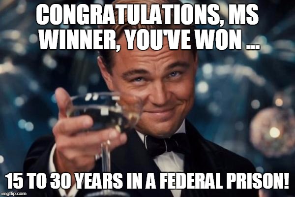 Leonardo Dicaprio Cheers Meme | CONGRATULATIONS, MS WINNER, YOU'VE WON ... 15 TO 30 YEARS IN A FEDERAL PRISON! | image tagged in memes,leonardo dicaprio cheers | made w/ Imgflip meme maker