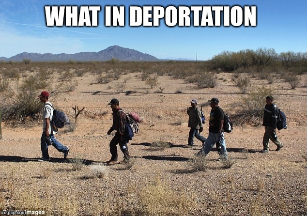WHAT IN DEPORTATION | image tagged in mexico | made w/ Imgflip meme maker