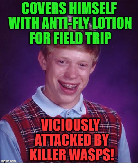 Bad Luck Brian Meme | COVERS HIMSELF WITH ANTI-FLY LOTION FOR FIELD TRIP VICIOUSLY ATTACKED BY KILLER WASPS! | image tagged in memes,bad luck brian | made w/ Imgflip meme maker