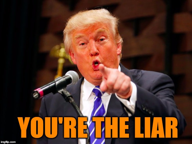 trump point | YOU'RE THE LIAR | image tagged in trump point | made w/ Imgflip meme maker