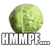 Sprout Wisdom | HMMPF.... | image tagged in sprout wisdom | made w/ Imgflip meme maker