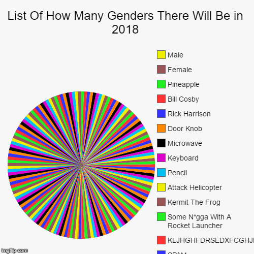 List Of How Many Genders There Will Be in 2018 |, SPAM, KLJHGHFDRSEDXFCGHJKJIUHYGRDCVHJKL, Some N*gga With A Rocket Launcher, Kermit The Fro | image tagged in funny,pie charts | made w/ Imgflip chart maker