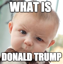 Skeptical Baby | WHAT IS; DONALD TRUMP | image tagged in memes,skeptical baby | made w/ Imgflip meme maker