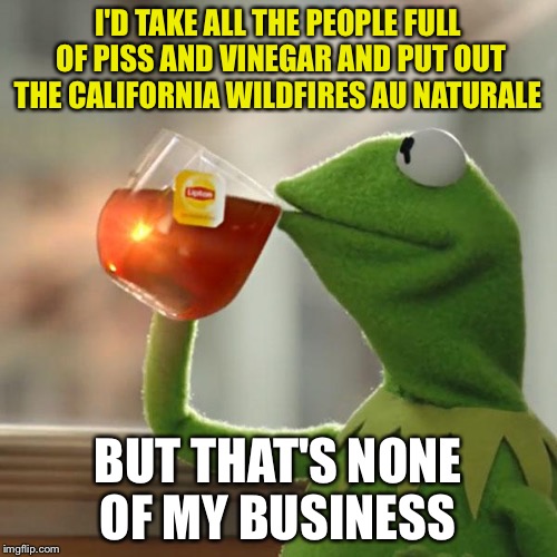 Mais ce n'est pas mon affaire | I'D TAKE ALL THE PEOPLE FULL OF PISS AND VINEGAR AND PUT OUT THE CALIFORNIA WILDFIRES AU NATURALE; BUT THAT'S NONE OF MY BUSINESS | image tagged in memes,but thats none of my business,kermit the frog | made w/ Imgflip meme maker
