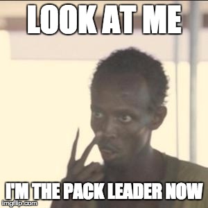 Look At Me Meme | LOOK AT ME; I'M THE PACK LEADER NOW | image tagged in memes,look at me,AdviceAnimals | made w/ Imgflip meme maker