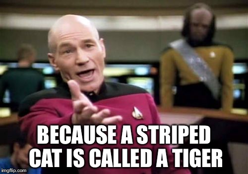 Picard Wtf Meme | BECAUSE A STRIPED CAT IS CALLED A TIGER | image tagged in memes,picard wtf | made w/ Imgflip meme maker