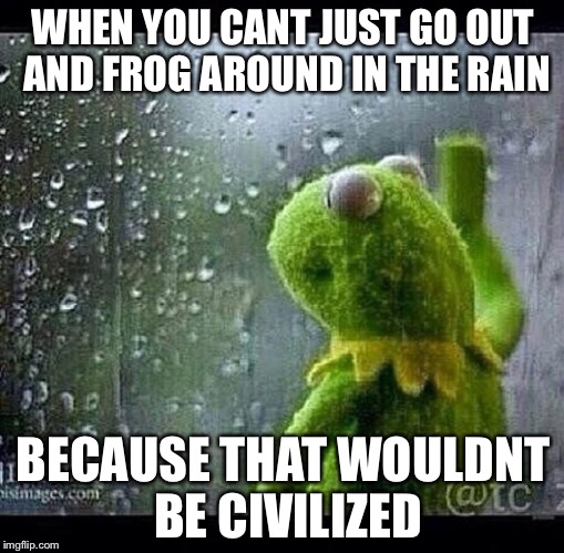 WHEN YOU CANT JUST GO OUT AND FROG AROUND IN THE RAIN BECAUSE THAT WOULDNT BE CIVILIZED | made w/ Imgflip meme maker