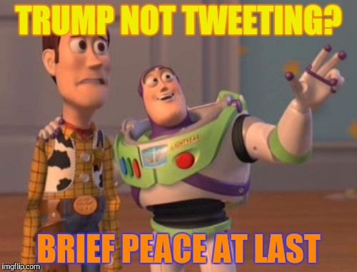 X, X Everywhere Meme | TRUMP NOT TWEETING? BRIEF PEACE AT LAST | image tagged in memes,x x everywhere | made w/ Imgflip meme maker