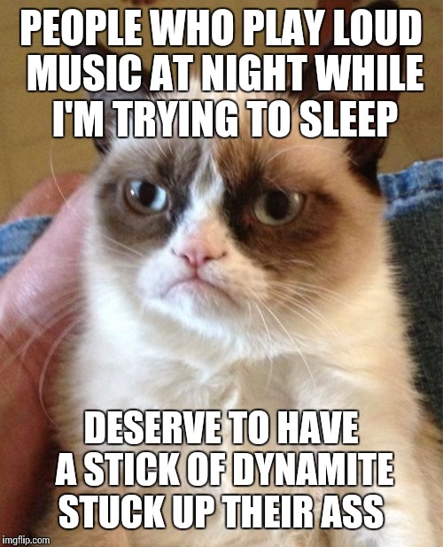 Grumpy Cat Meme | PEOPLE WHO PLAY LOUD MUSIC AT NIGHT WHILE I'M TRYING TO SLEEP; DESERVE TO HAVE A STICK OF DYNAMITE STUCK UP THEIR ASS | image tagged in memes,grumpy cat | made w/ Imgflip meme maker