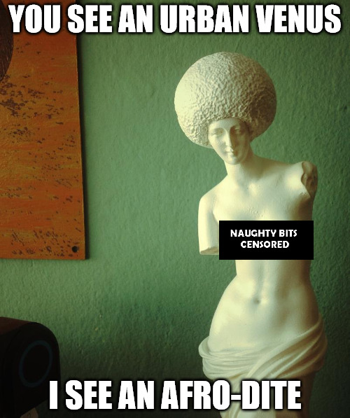 It's art! Really, it is. | YOU SEE AN URBAN VENUS; I SEE AN AFRO-DITE | image tagged in statue,venus,memes,censored | made w/ Imgflip meme maker