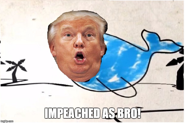 IMPEACHED AS BRO! | image tagged in impeachedasbro-kylebrooks | made w/ Imgflip meme maker