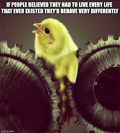 Behave very differently | IF PEOPLE BELIEVED THEY HAD TO LIVE EVERY LIFE THAT EVER EXISTED THEY'D BEHAVE VERY DIFFERENTLY | image tagged in reincarnation,baby chick,grinder,empathy,live,all lives matter | made w/ Imgflip meme maker