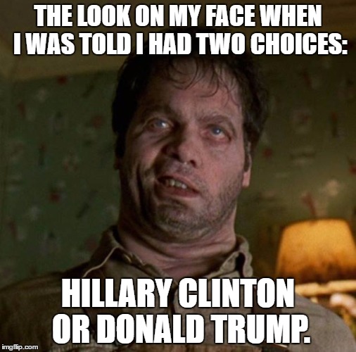 THE LOOK ON MY FACE WHEN I WAS TOLD I HAD TWO CHOICES:; HILLARY CLINTON OR DONALD TRUMP. | image tagged in vincent | made w/ Imgflip meme maker
