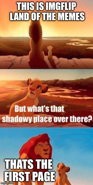 Simba Shadowy Place Meme | THIS IS IMGFLIP LAND OF THE MEMES; THATS THE FIRST PAGE | image tagged in memes,simba shadowy place | made w/ Imgflip meme maker