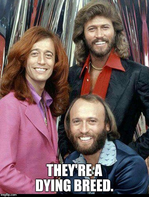 Bee Gees | THEY'RE A DYING BREED. | image tagged in bee gees | made w/ Imgflip meme maker