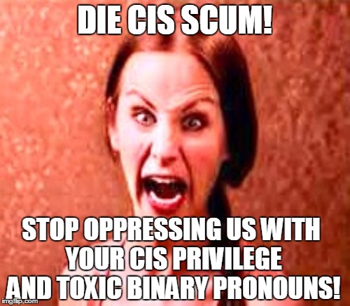 Triggered gendervoid foxkin demi queer who uses they/them pronouns  | DIE CIS SCUM! STOP OPPRESSING US WITH YOUR CIS PRIVILEGE AND TOXIC BINARY PRONOUNS! | image tagged in gendervoid,foxkin,demi queer,triggered,reddit,tumblr | made w/ Imgflip meme maker