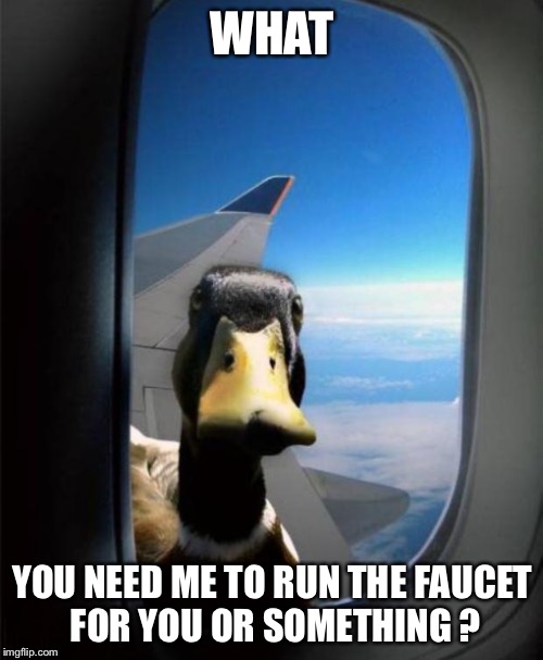 WHAT YOU NEED ME TO RUN THE FAUCET FOR YOU OR SOMETHING ? | made w/ Imgflip meme maker