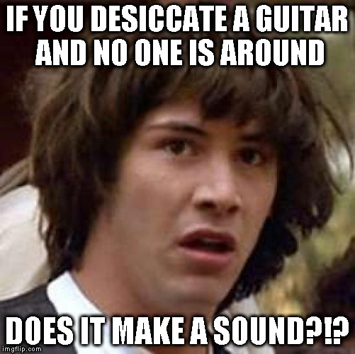 Conspiracy Keanu Meme | IF YOU DESICCATE A GUITAR AND NO ONE IS AROUND DOES IT MAKE A SOUND?!? | image tagged in memes,conspiracy keanu | made w/ Imgflip meme maker