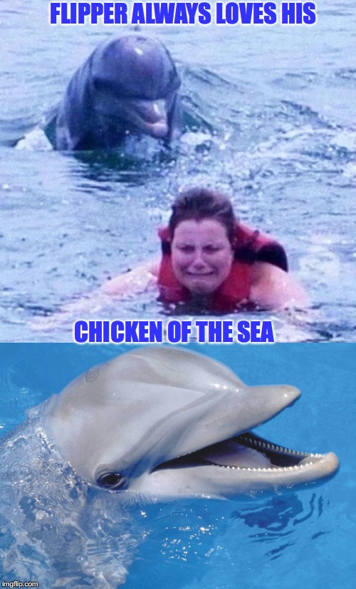 What’s left when you deplete the sea of its resources  | FLIPPER ALWAYS LOVES HIS; CHICKEN OF THE SEA | image tagged in flipper,dolphins | made w/ Imgflip meme maker