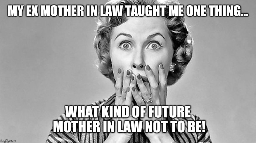 Shocked Woman | MY EX MOTHER IN LAW TAUGHT ME ONE THING... WHAT KIND OF FUTURE MOTHER IN LAW NOT TO BE! | image tagged in shocked woman | made w/ Imgflip meme maker