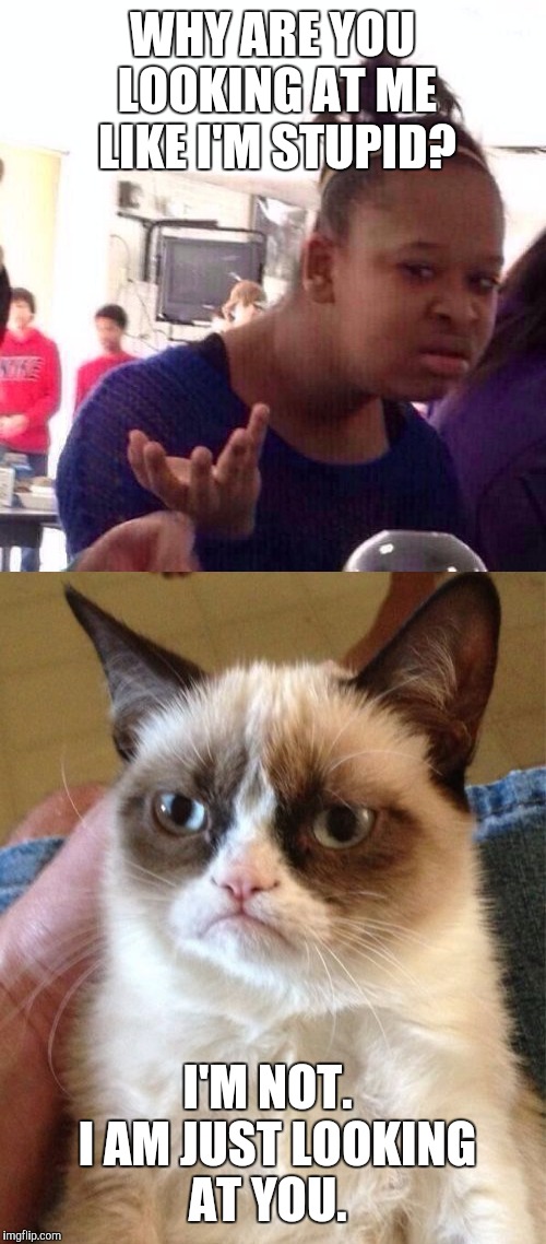 WHY ARE YOU LOOKING AT ME LIKE I'M STUPID? I'M NOT.  I AM JUST LOOKING AT YOU. | image tagged in grumpy cat | made w/ Imgflip meme maker