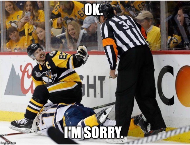 Sidney Crybaby Crosby beats the snot out of PK Subban and only gets a 2 min penalty.  | OK. I'M SORRY. | image tagged in sidney crosby,pk subban,stanley cup,hockey,predators,crybaby | made w/ Imgflip meme maker