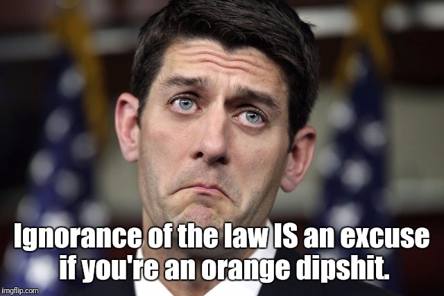 Paul Ryan DERP | Ignorance of the law IS an excuse if you're an orange dipshit. | image tagged in paul ryan derp,memes | made w/ Imgflip meme maker