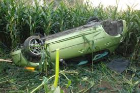High Quality car crash corn field Blank Meme Template