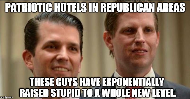 Trump hotel idea | PATRIOTIC HOTELS IN REPUBLICAN AREAS; THESE GUYS HAVE EXPONENTIALLY RAISED STUPID TO A WHOLE NEW LEVEL. | image tagged in the new stupid | made w/ Imgflip meme maker