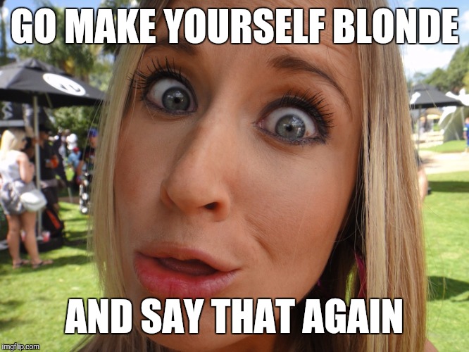 Memes | GO MAKE YOURSELF BLONDE AND SAY THAT AGAIN | image tagged in memes | made w/ Imgflip meme maker