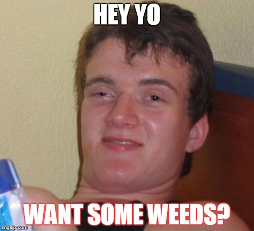 10 Guy | HEY YO; WANT SOME WEEDS? | image tagged in memes,10 guy | made w/ Imgflip meme maker