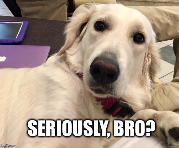 SERIOUSLY, BRO? | image tagged in juno | made w/ Imgflip meme maker