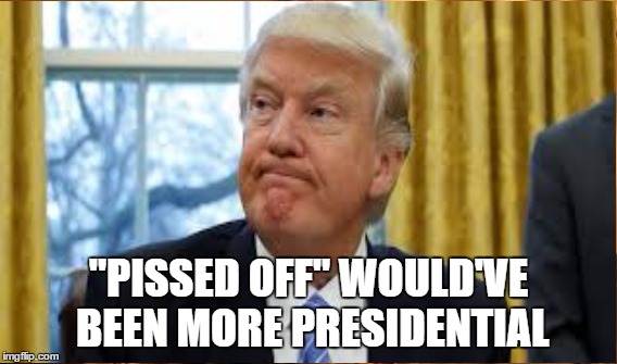 Steele Dossier | "PISSED OFF" WOULD'VE BEEN MORE PRESIDENTIAL | image tagged in trump | made w/ Imgflip meme maker
