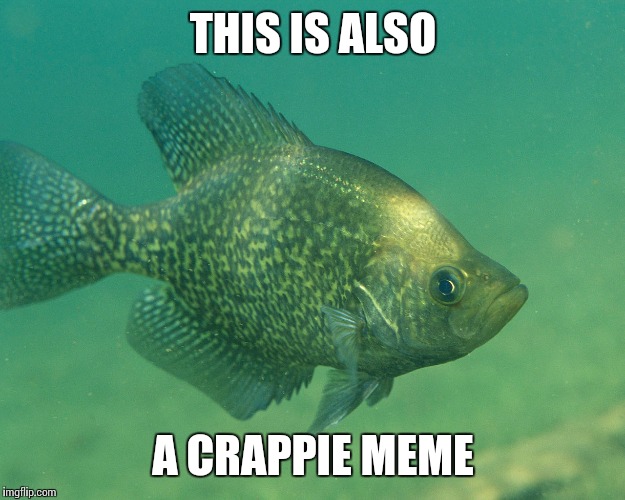 THIS IS ALSO A CRAPPIE MEME | made w/ Imgflip meme maker