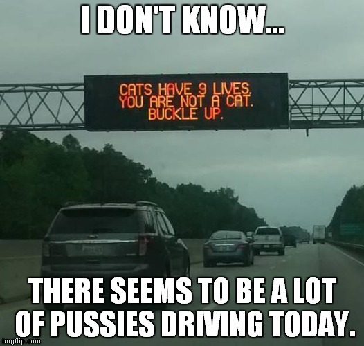 Highway Safety Message | I DON'T KNOW... THERE SEEMS TO BE A LOT OF PUSSIES DRIVING TODAY. | image tagged in driving | made w/ Imgflip meme maker