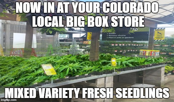 New line in stock | NOW IN AT YOUR COLORADO LOCAL BIG BOX STORE; MIXED VARIETY FRESH SEEDLINGS | image tagged in mary jane,big box,pot,lowes,home depot | made w/ Imgflip meme maker
