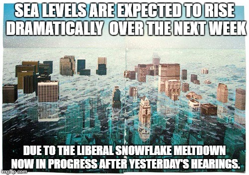 Liberal snowflake meltdown | SEA LEVELS ARE EXPECTED TO RISE DRAMATICALLY  OVER THE NEXT WEEK; DUE TO THE LIBERAL SNOWFLAKE MELTDOWN NOW IN PROGRESS AFTER YESTERDAY'S HEARINGS. | image tagged in snowflake meltdown,snowflakes,global warming,political meme | made w/ Imgflip meme maker