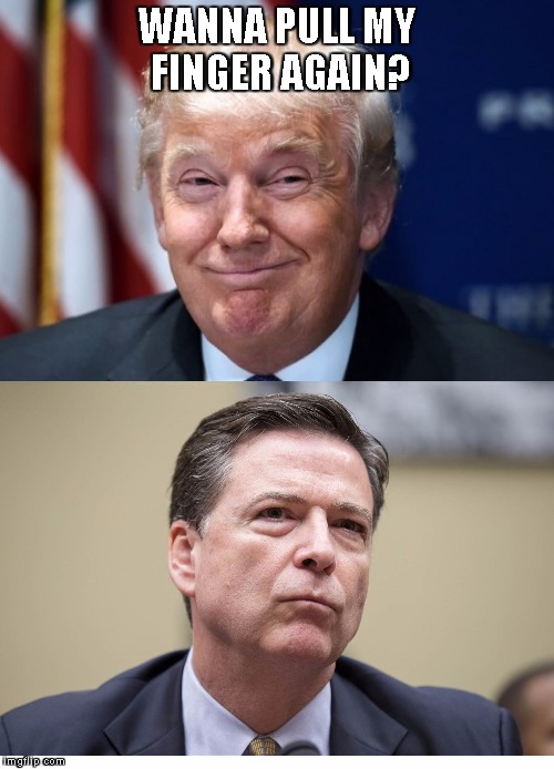Trump Hopes and Comey Interprets as Directive | WANNA PULL MY FINGER AGAIN? | image tagged in trump hopes and comey interprets as directive | made w/ Imgflip meme maker