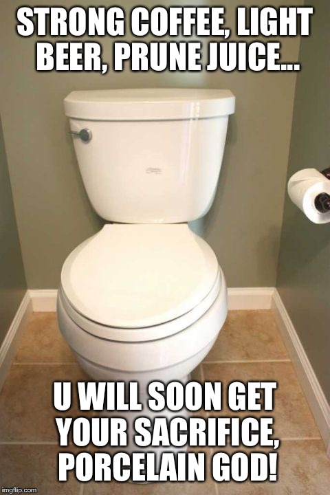 Lonely Toilet | STRONG COFFEE, LIGHT BEER, PRUNE JUICE... U WILL SOON GET YOUR SACRIFICE, PORCELAIN GOD! | image tagged in lonely toilet | made w/ Imgflip meme maker