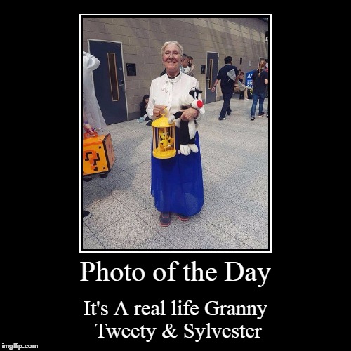 image tagged in funny,demotivationals | made w/ Imgflip demotivational maker