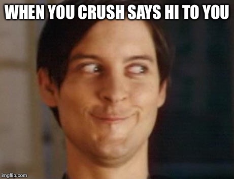 Spiderman Peter Parker Meme | WHEN YOU CRUSH SAYS HI TO YOU | image tagged in memes,spiderman peter parker | made w/ Imgflip meme maker