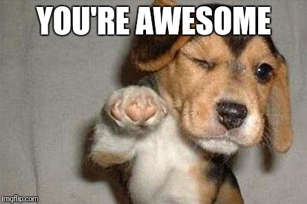 Awesome Dog | YOU'RE AWESOME | image tagged in awesome dog | made w/ Imgflip meme maker