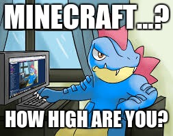 MINECRAFT...? HOW HIGH ARE YOU? | image tagged in feraligatr | made w/ Imgflip meme maker