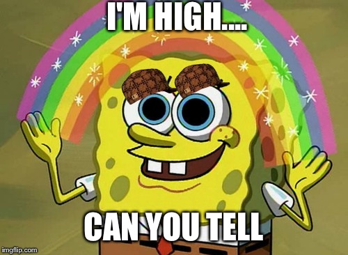 Imagination Spongebob | I'M HIGH.... CAN YOU TELL | image tagged in memes,imagination spongebob,scumbag | made w/ Imgflip meme maker