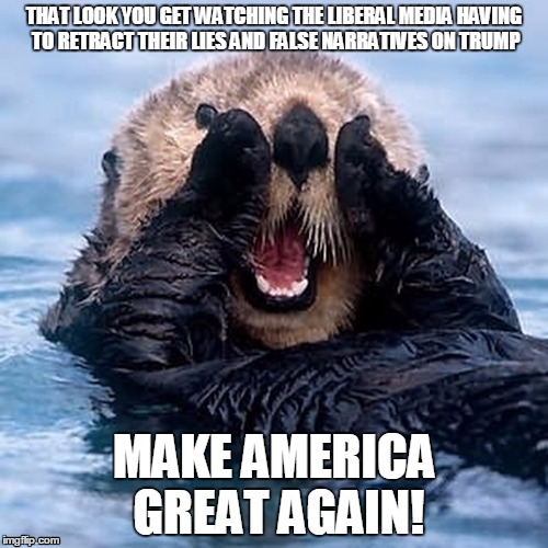 otter | THAT LOOK YOU GET WATCHING THE LIBERAL MEDIA HAVING TO RETRACT THEIR LIES AND FALSE NARRATIVES ON TRUMP; MAKE AMERICA GREAT AGAIN! | image tagged in donald trump,otter | made w/ Imgflip meme maker
